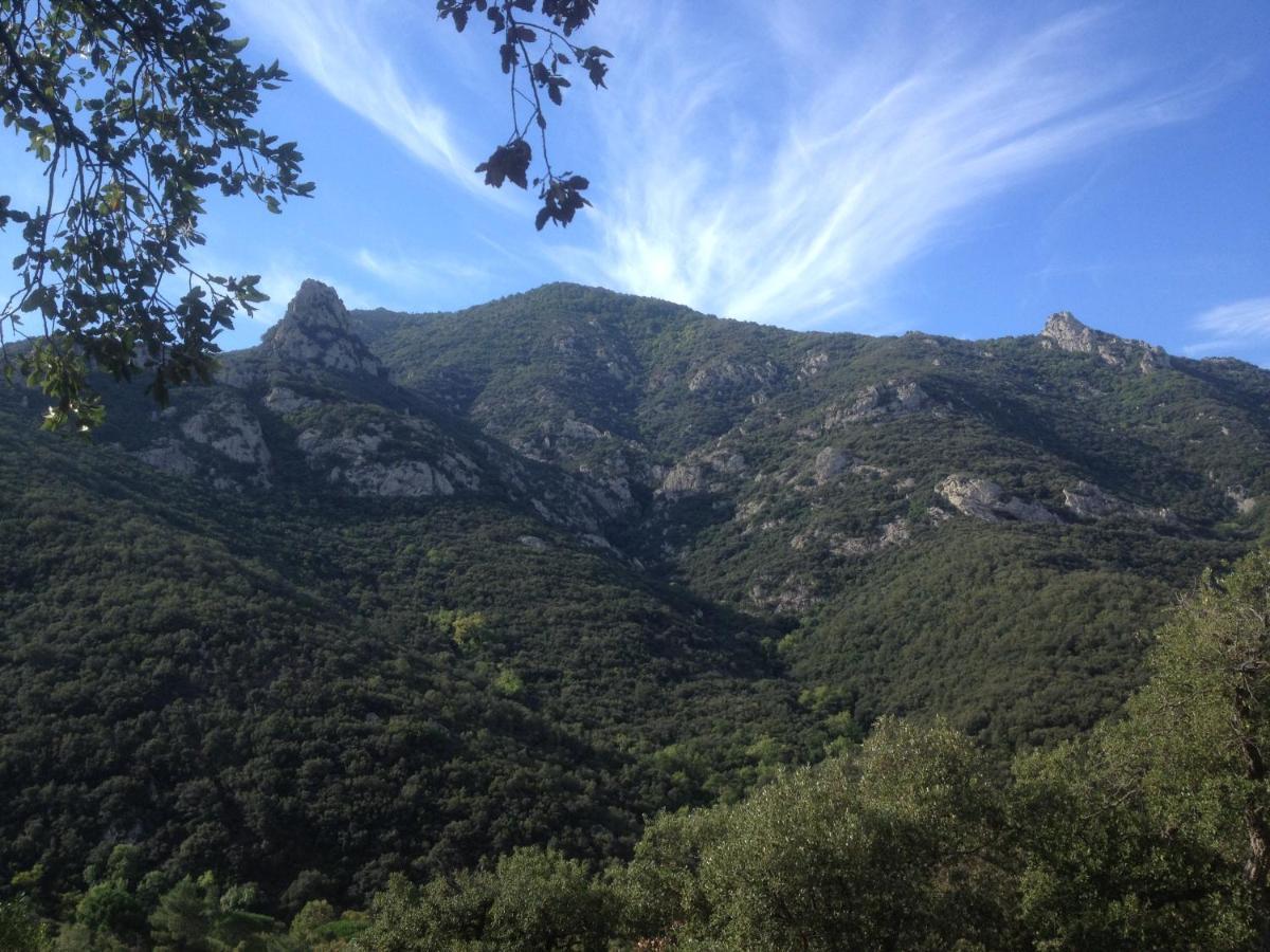 L'Abri La Vall Sorède Exteriér fotografie