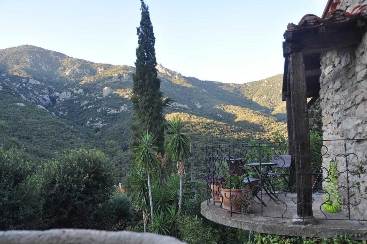 L'Abri La Vall Sorède Exteriér fotografie