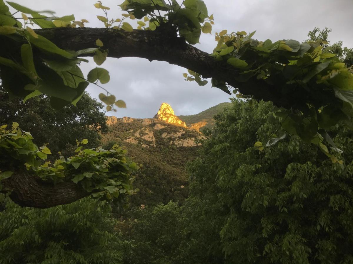 L'Abri La Vall Sorède Exteriér fotografie