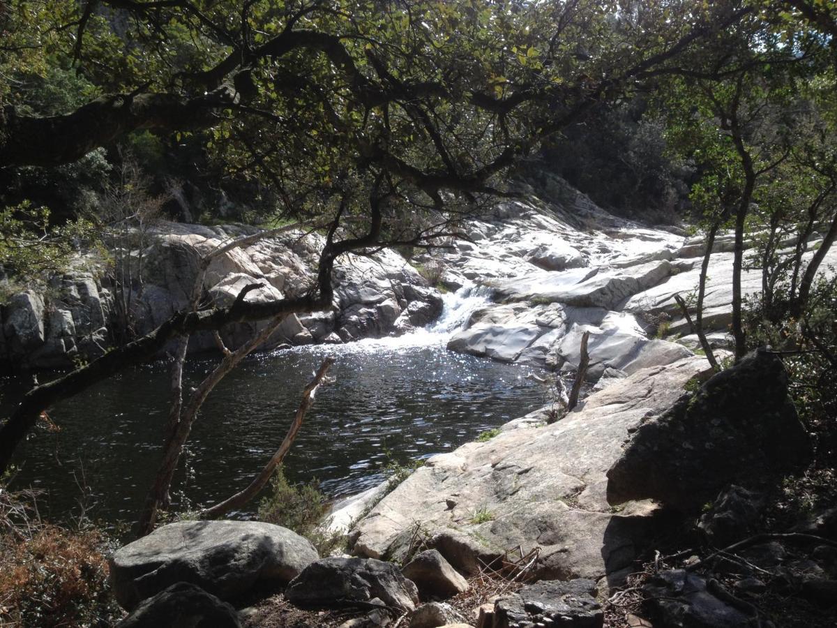L'Abri La Vall Sorède Exteriér fotografie